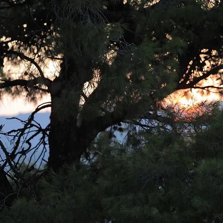 Appartamento Evelyn *