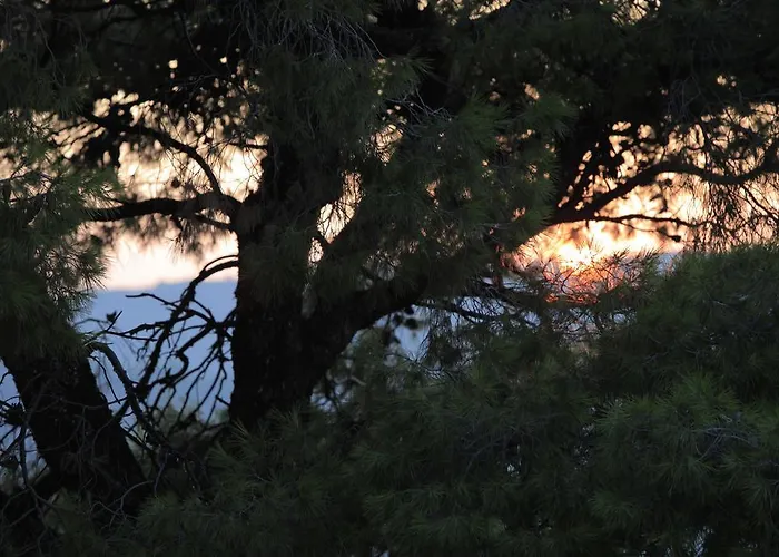 Διαμέρισμα Evelyn *